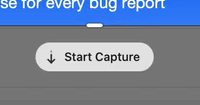 公式デモのスクロール撮影を始めるStart Captureボタン